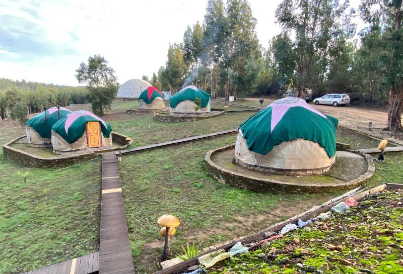 Tent Yurt image 3