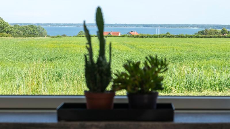 Studio Apartment with Sea View image 4