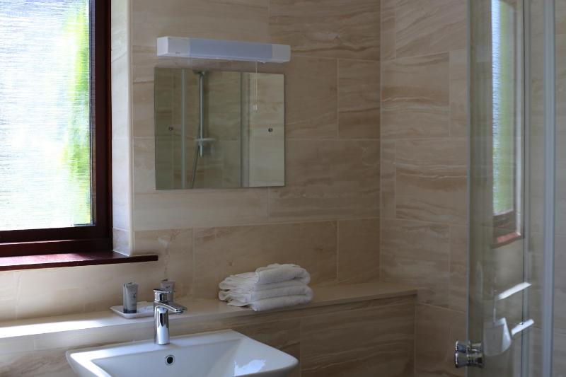 Superior Double Room image 4