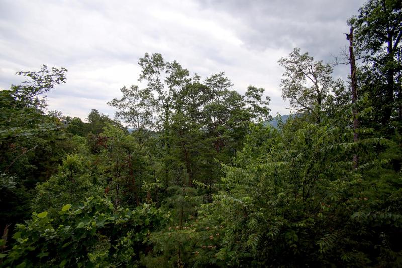 Belvedere Cabin with Private Hot Tub and Free Putt Putt Course - image 15