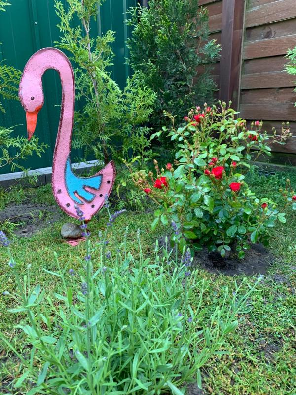 One-Bedroom Apartment image 4