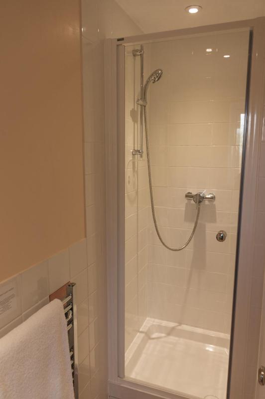Large Twin Room image 2