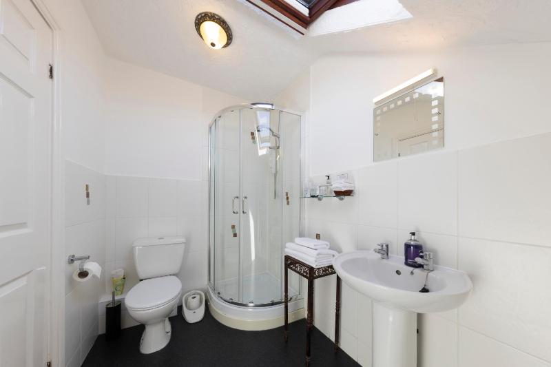 Wynnstay House - image 22