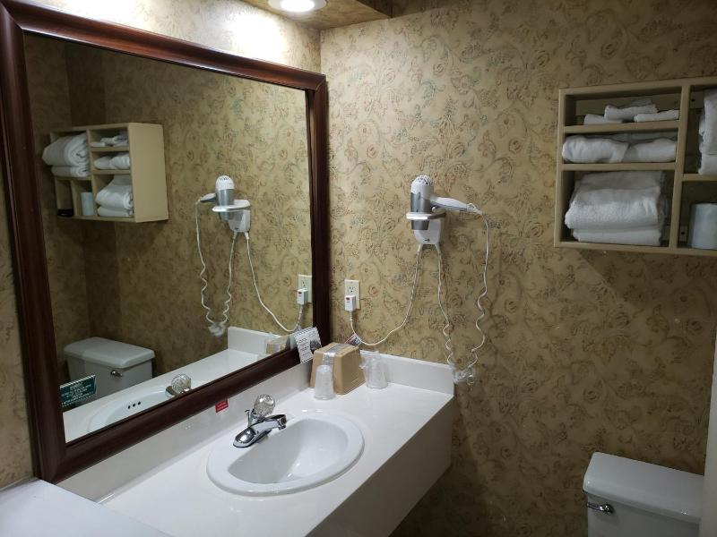Deluxe Suite with Spa Bath image 4