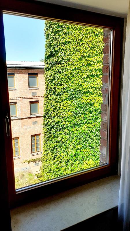 Standard Double Room image 2