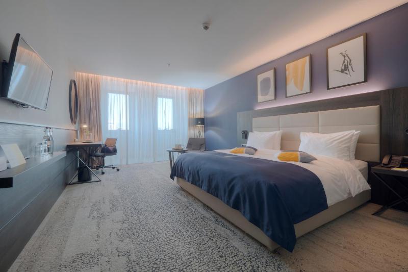 Premium King Room - Smoking image 1