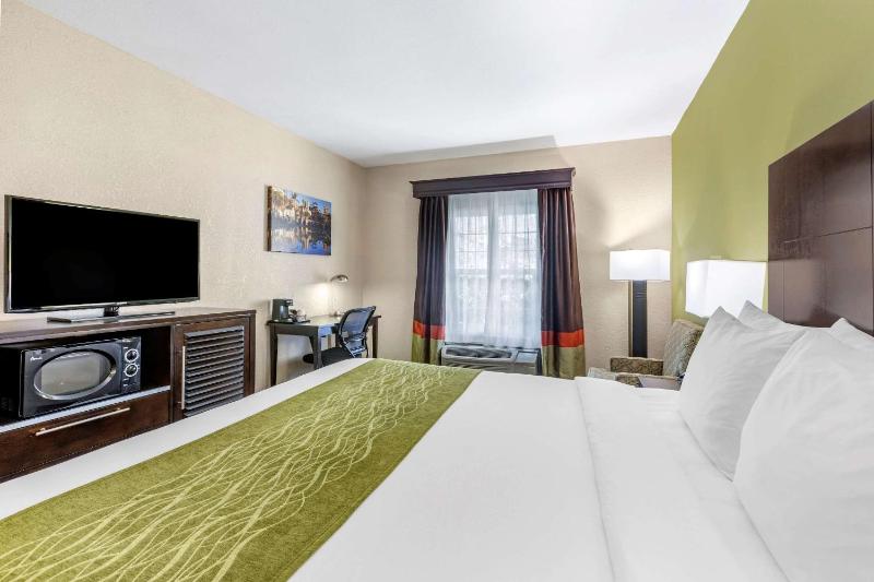 Comfort Inn San Diego Old Town - image 11