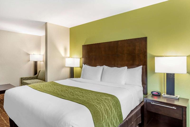 Comfort Inn San Diego Old Town - image 16