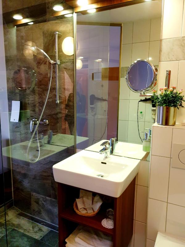 Deluxe Single Room image 4