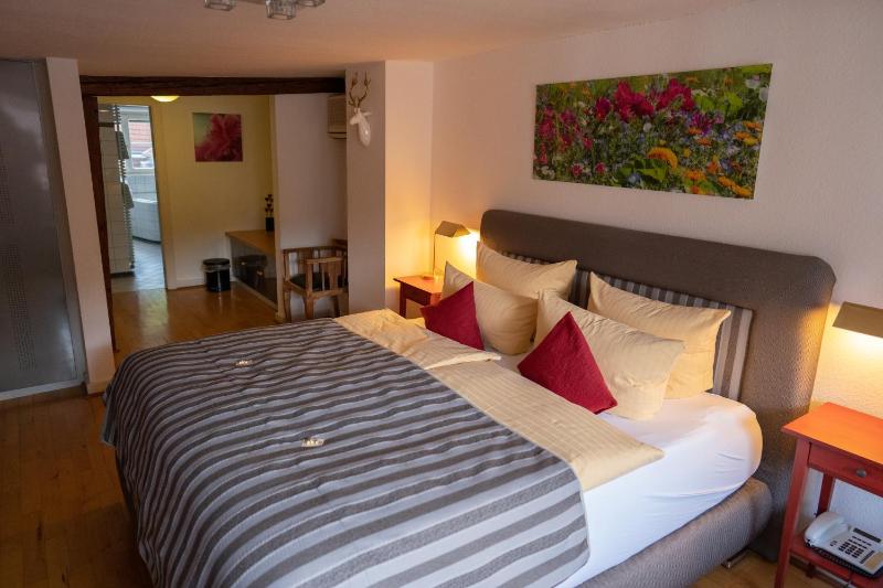 Hotel Goldener Falke - image 12
