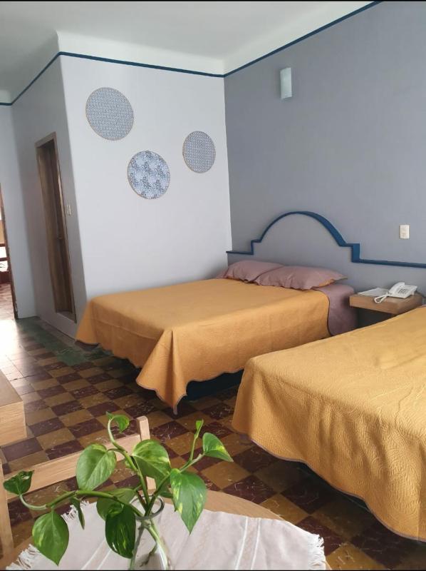 Hotel Rivera - image 11
