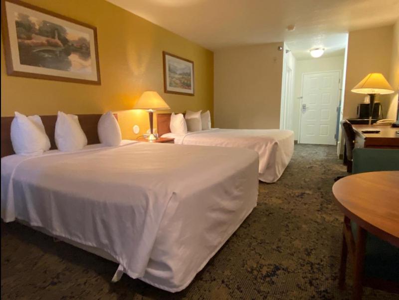 Double Room with Two Double Beds