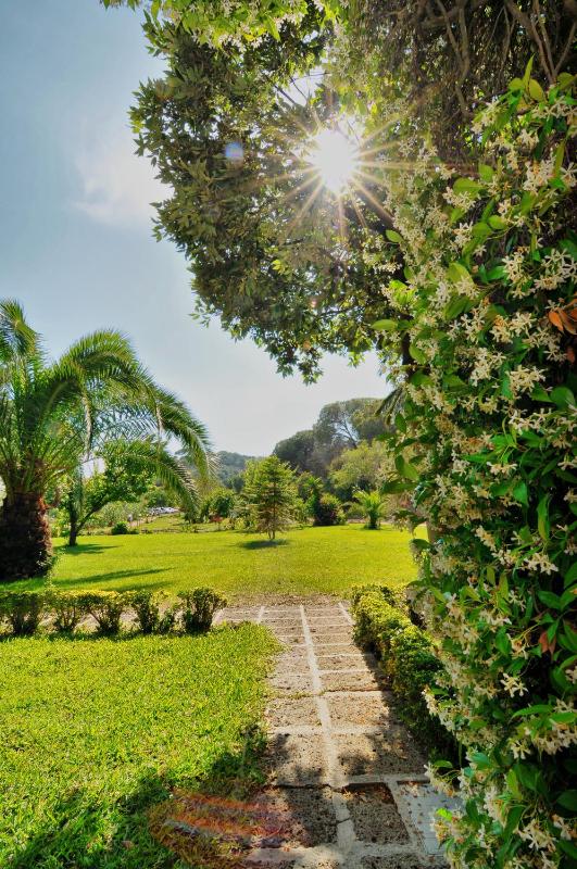 Hotel Villa Rodriguez - image 4