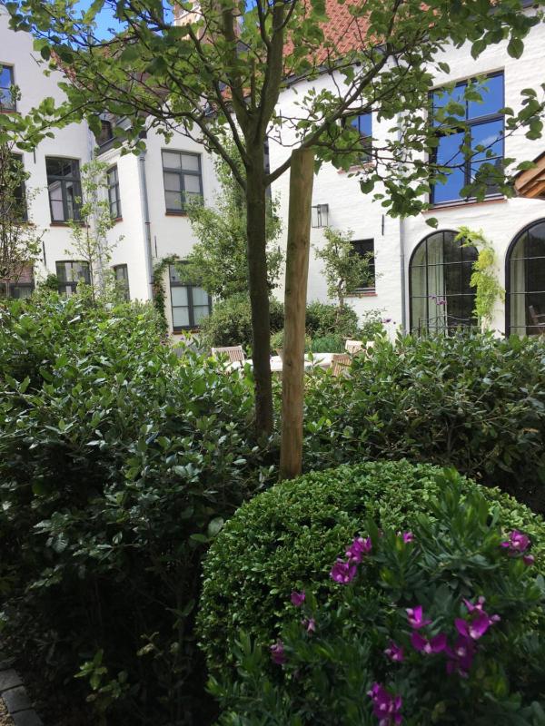 The Herring's Residence - Stylish Private Cottage with Breakfast in Historic Center - Adults-Only - image 12