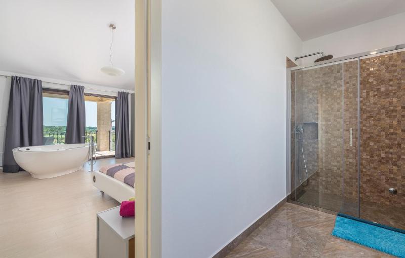 Villa Vanesa with Private Pool nearby Porec - image 6
