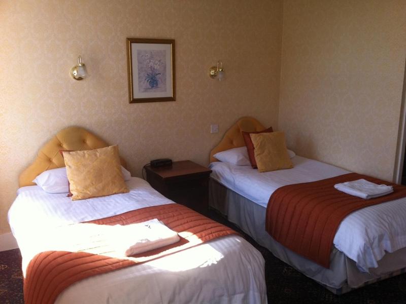 Standard Twin Room image 1