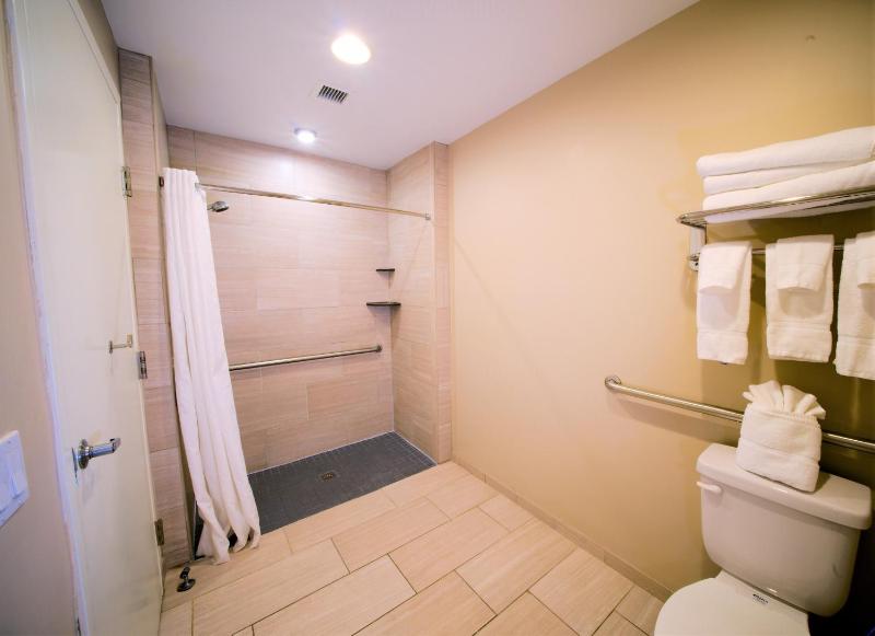 One-Bedroom Queen Suite with Roll-In Shower - Non-Smoking, Accessible image 3