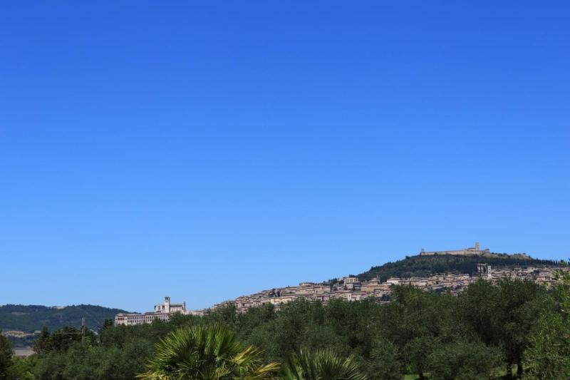 Agriturismo Il Casale di Monica - image 7