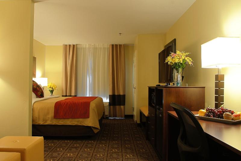 King Suite - Non-Smoking image 2