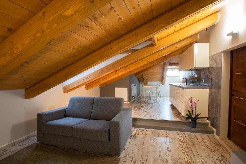 One-Bedroom Apartment - Attic image 3