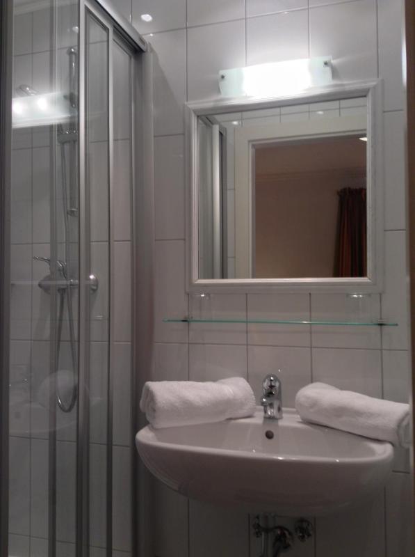 One-Bedroom Apartment image 2
