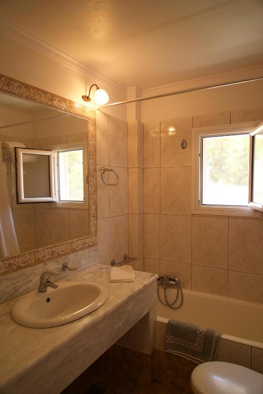 One-Bedroom Apartment image 3