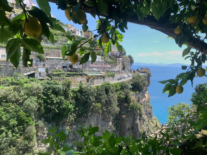 Hotel La Pergola - image 42