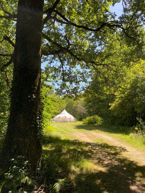Tent 2 image 2