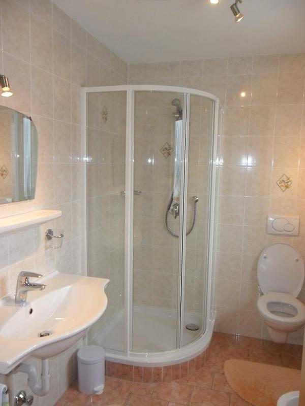 One-Bedroom Apartment image 2