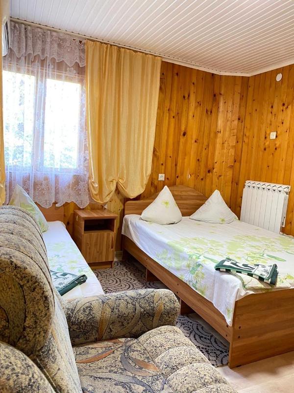 Standard Family Room image 3