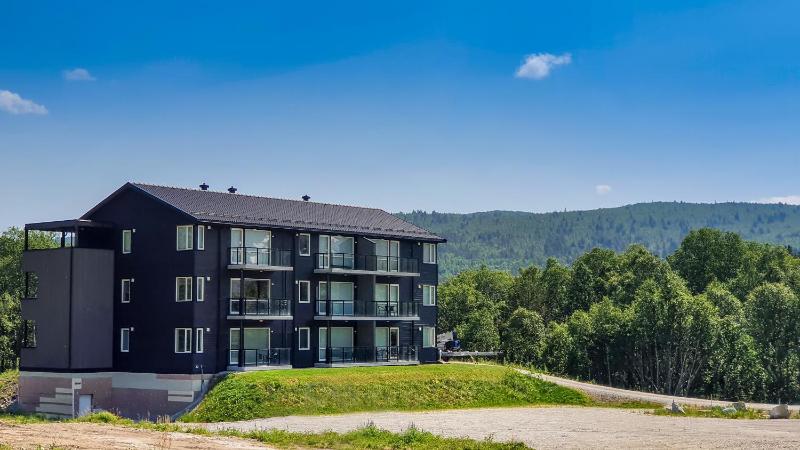 Three-Bedroom Apartment image 2
