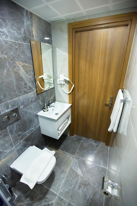 Deluxe Double or Twin Room with City View image 3