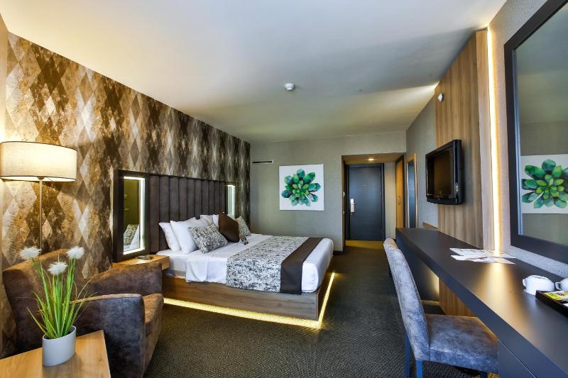 Standard Double or Twin Room image 4