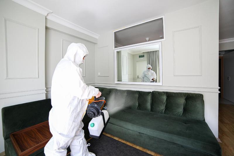 One-Bedroom Apartment image 4