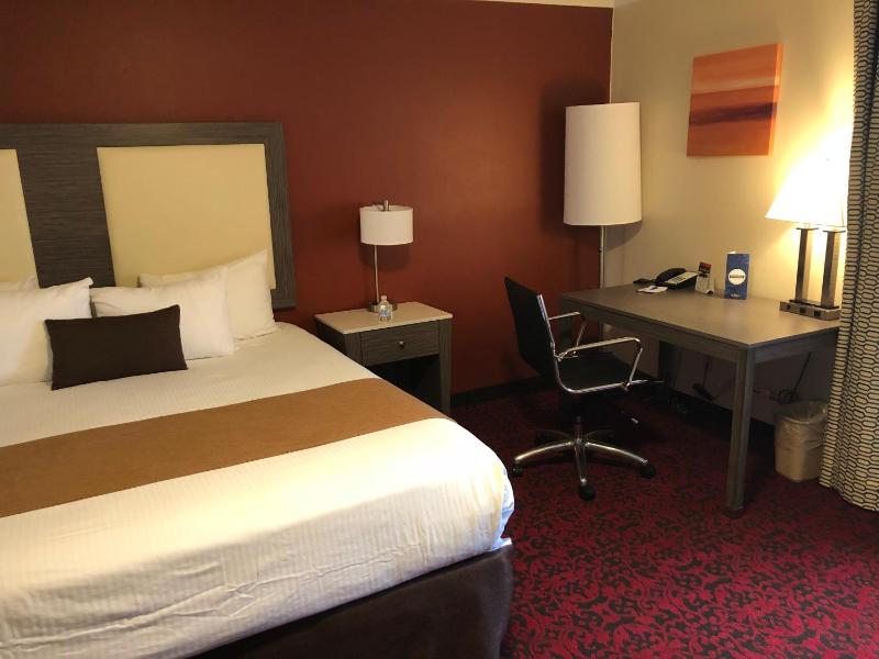 Leisure Suite image 4
