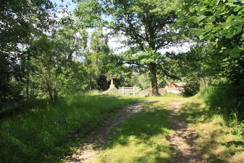 La Saucée Images