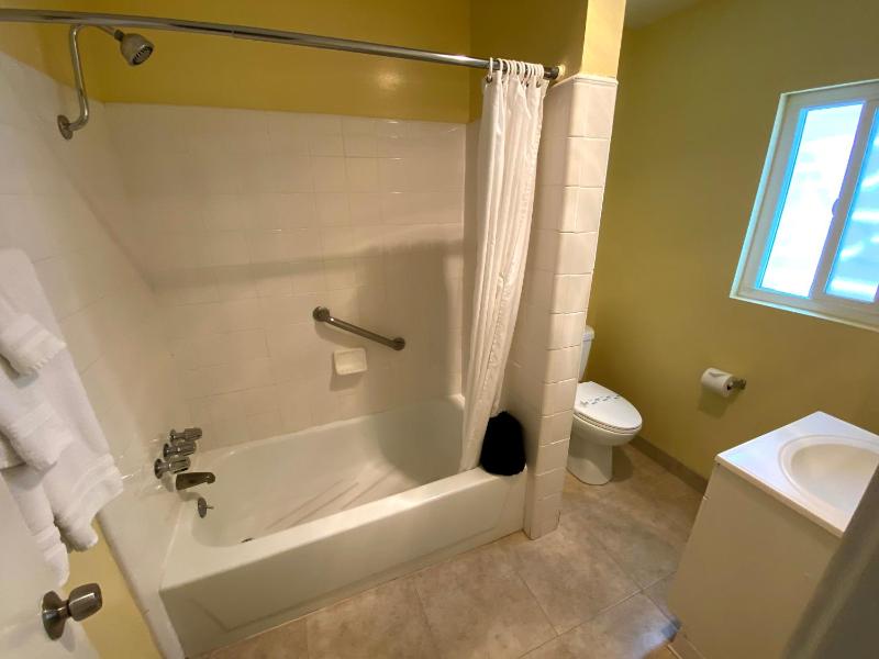 Deluxe King & Queen Suite image 2
