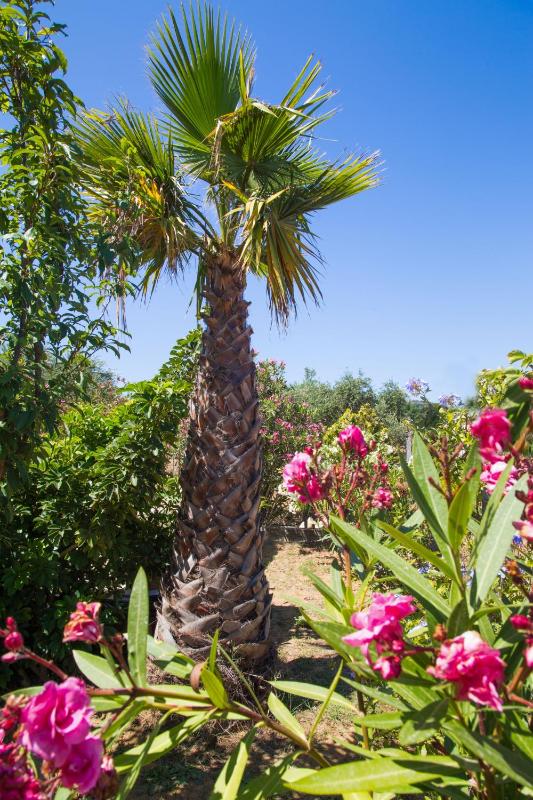 Two-Bedroom Apartment with Sea View image 4
