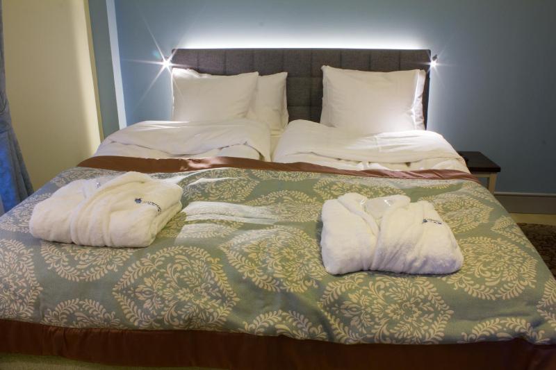 Superior Suite - Annex image 4