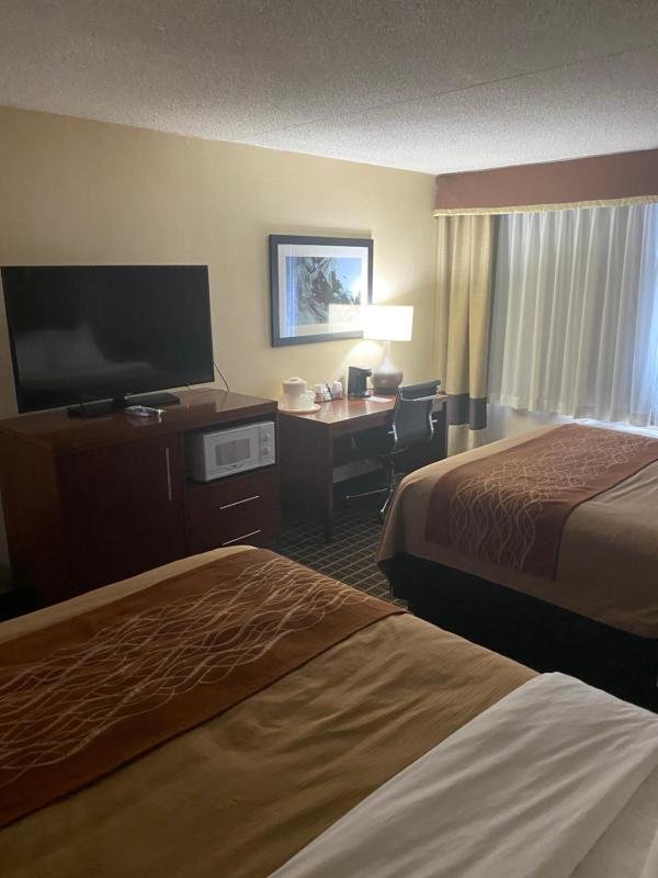 Queen Room with Two Queen Beds - Non-Smoking image 2