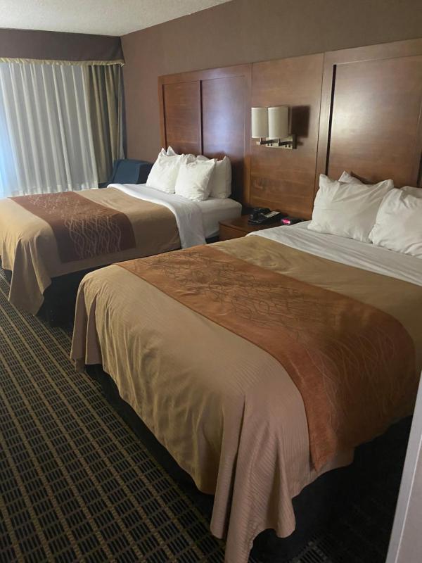 Queen Room with Two Queen Beds - Non-Smoking image 4