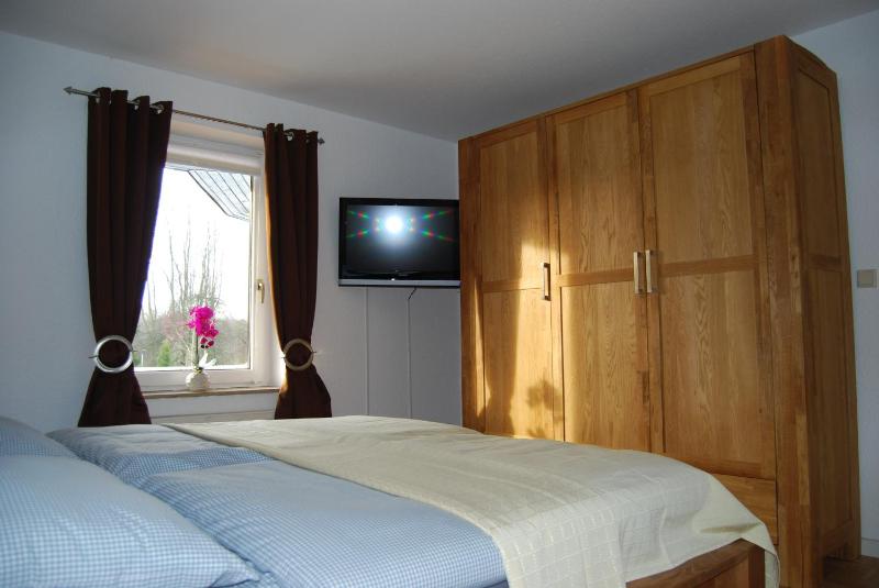 One-Bedroom Apartment image 4