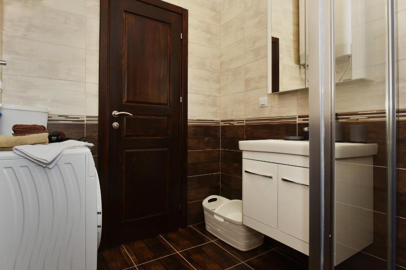 One-Bedroom Apartment image 3