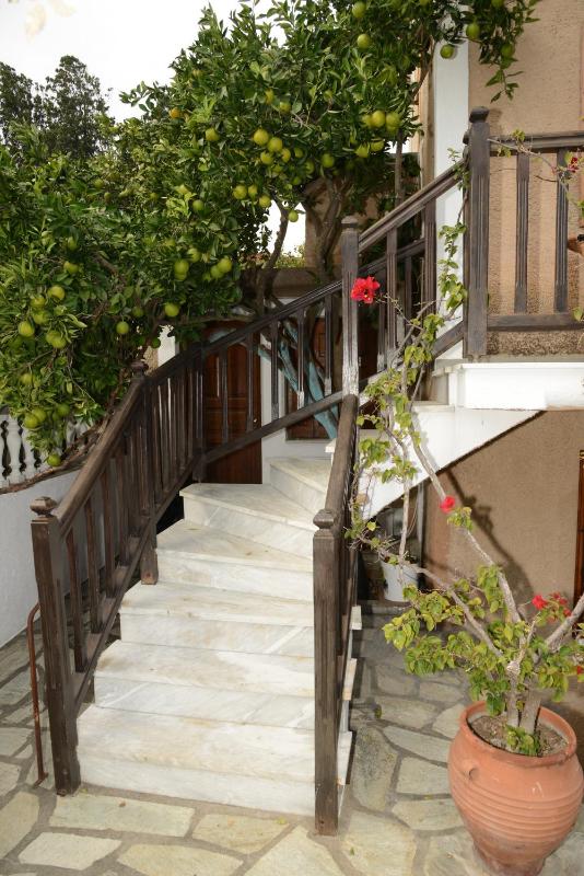 Sofia's Garden by Booking Kottas - image 29