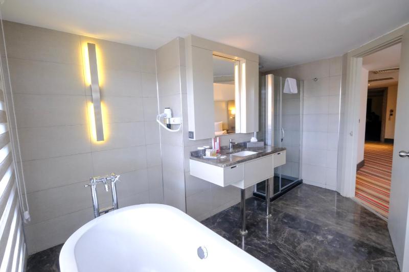 Superior Suite image 3