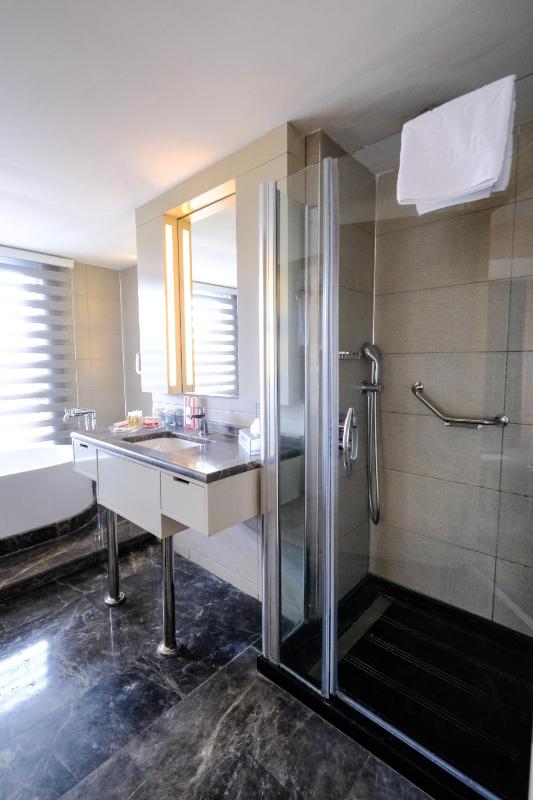 Superior Suite image 4