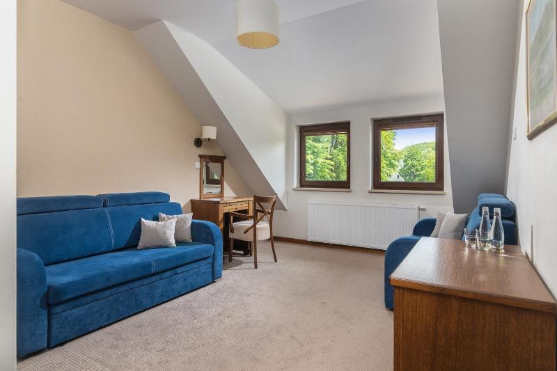 Deluxe Suite image 4