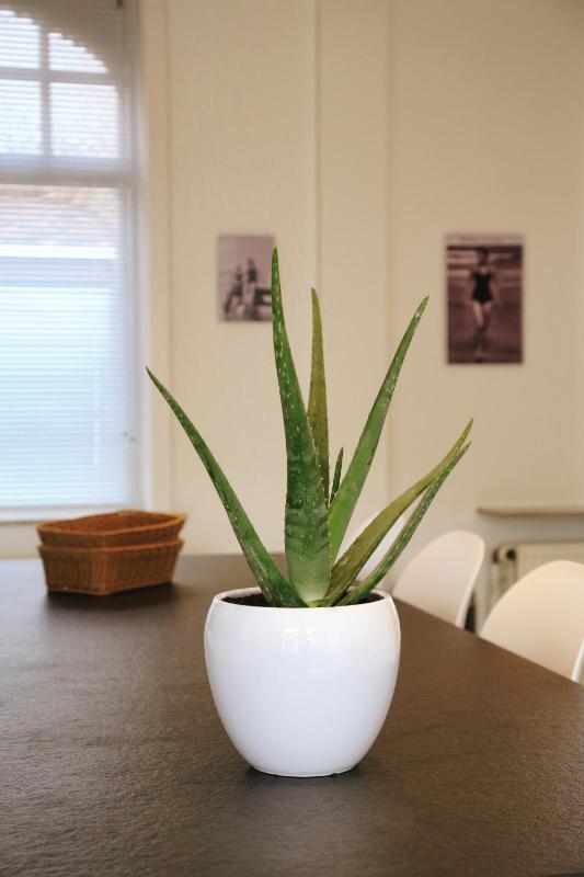 Vakantiewoning Villa Elena - image 28
