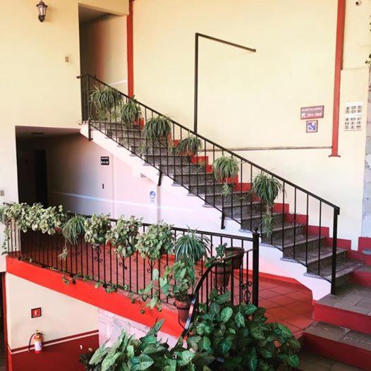 Hotel Camino de Villaseca - image 3