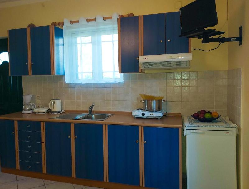 One-Bedroom Apartment image 2